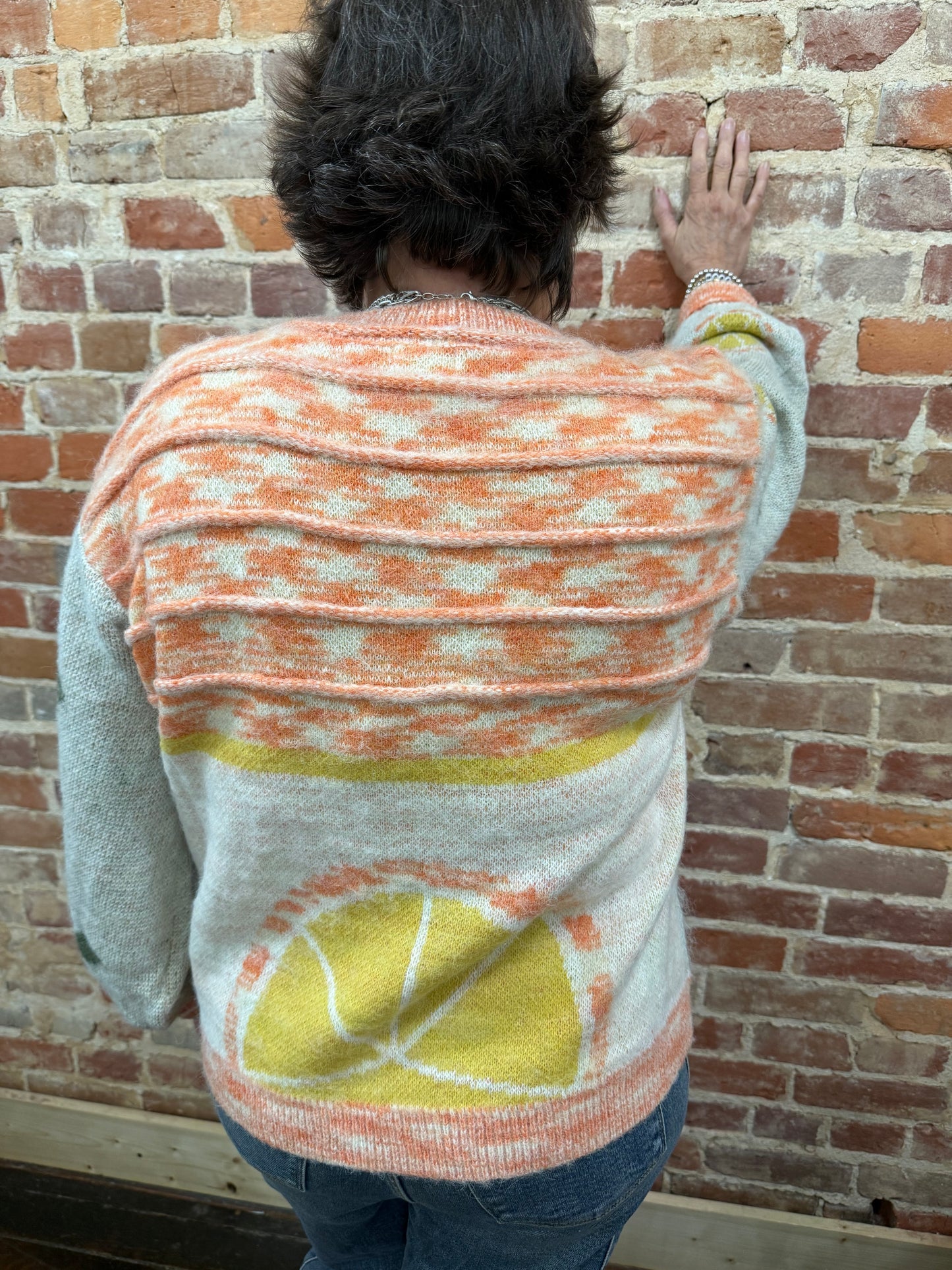 Pol111 Long sleeve Fruit Motif Pattern Multi Color Sweater