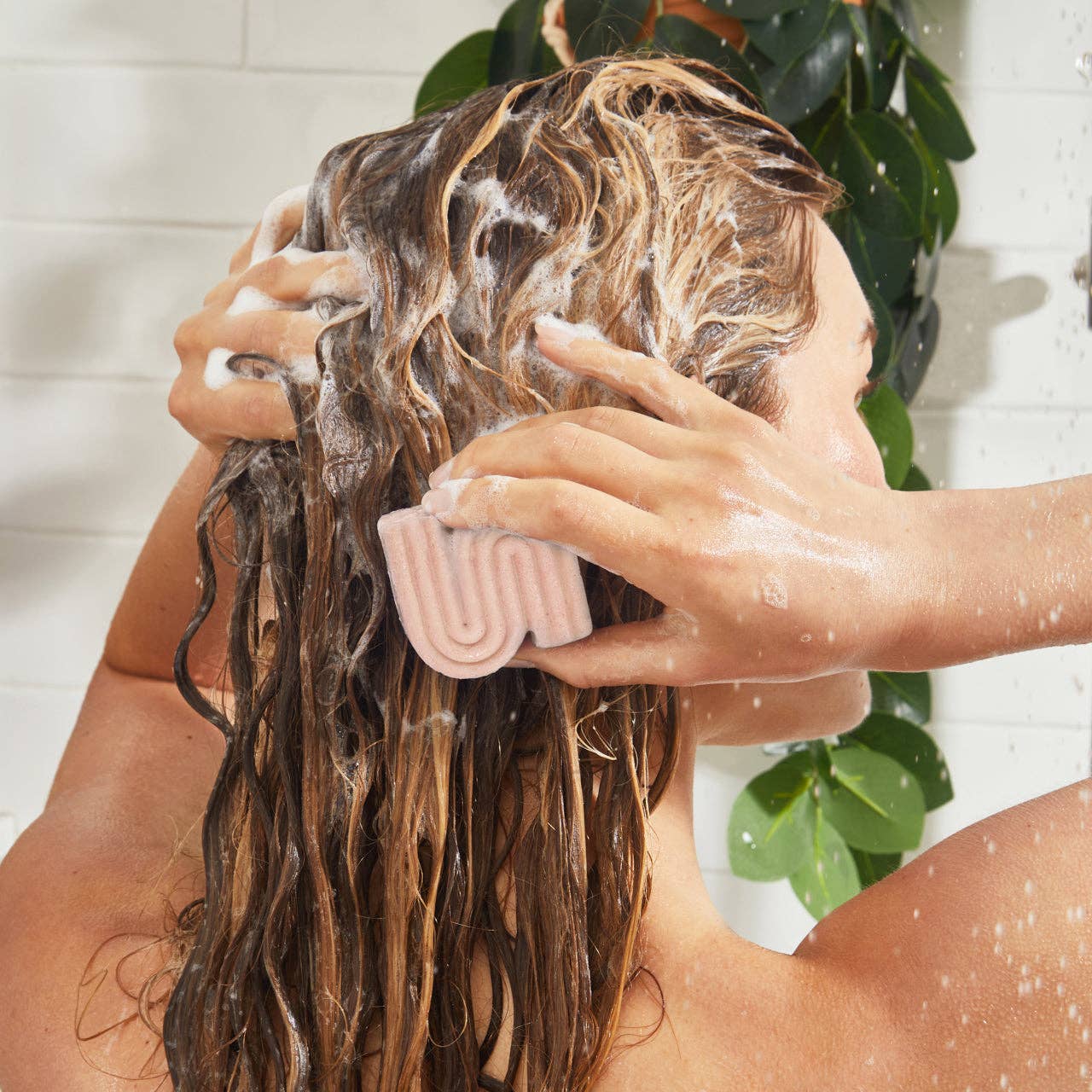Argan Oil Shampoo Bar for Hydration & Shine – La Tour Salon of Paris