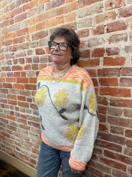 Pol111 Long sleeve Fruit Motif Pattern Multi Color Sweater